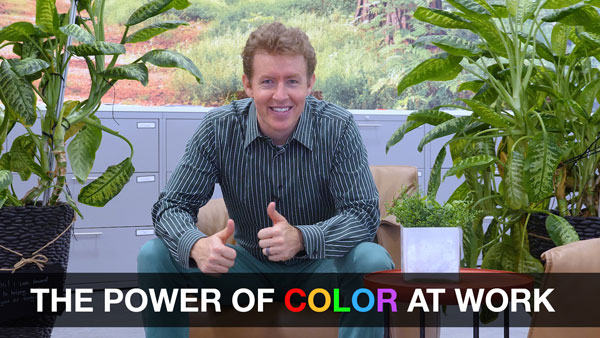 The Power of Color in the Workplace